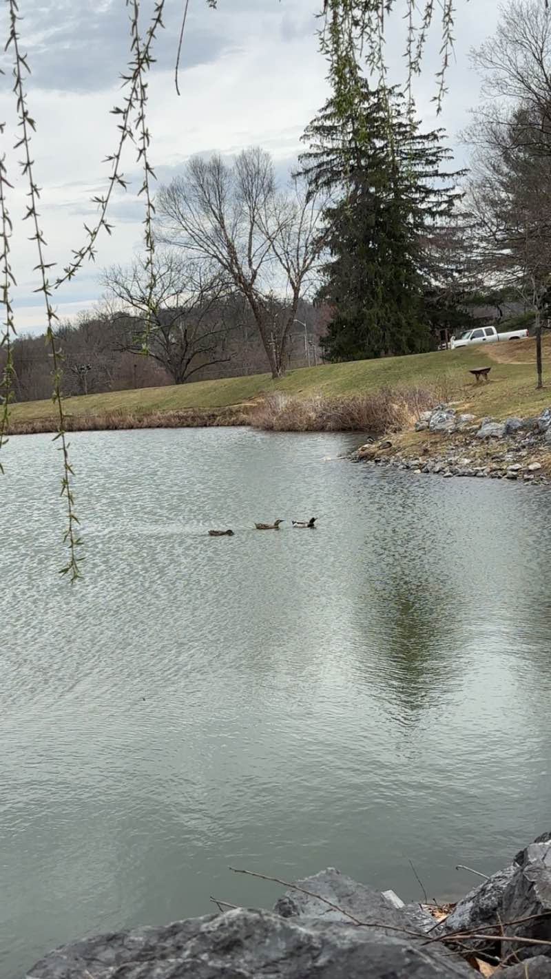 walking near me in Gypsy Hill Park and Golf Course in spring