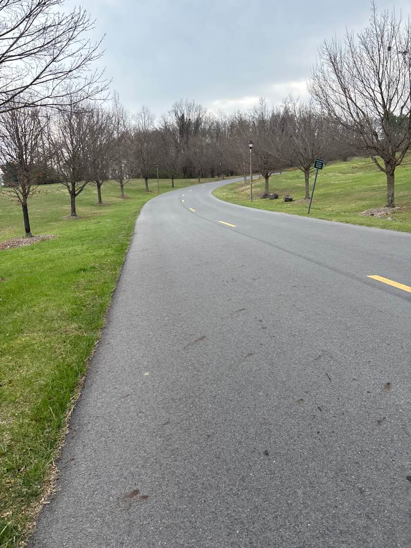 walking near me in Montgomery Hall Park in spring
