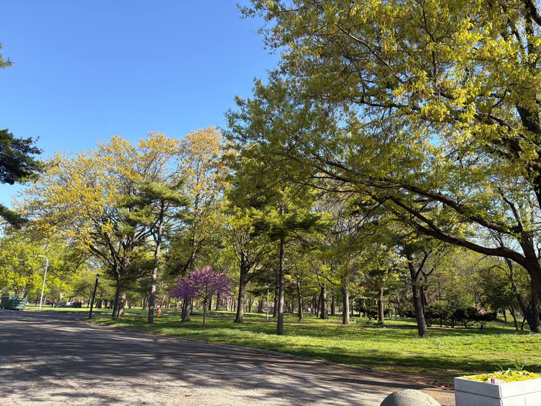 walking near me in Flushing Meadows-Corona Park in spring