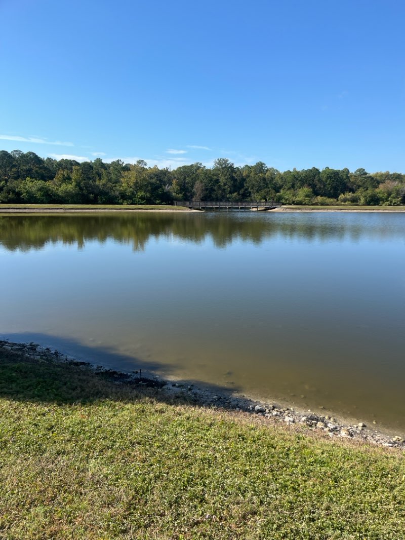walking near me in Fox Wood Resident Park in autumn