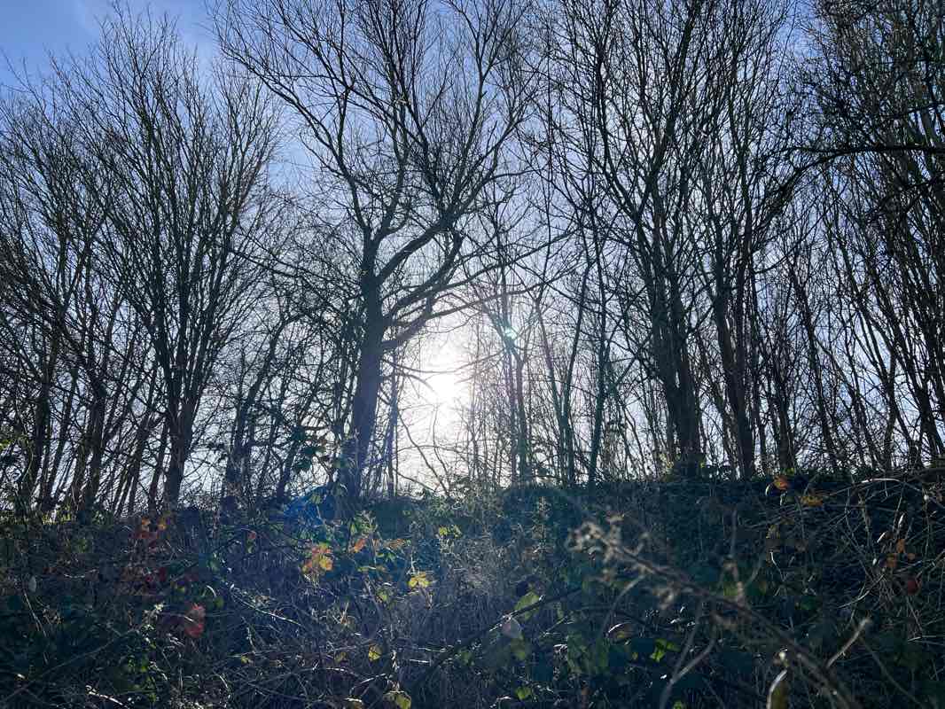 walking near me in Beam Parklands in winter