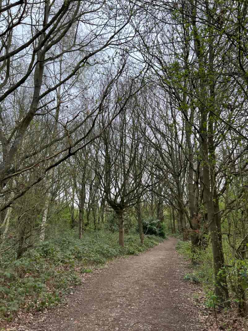 walking near me in Ingrebourne Hill in spring