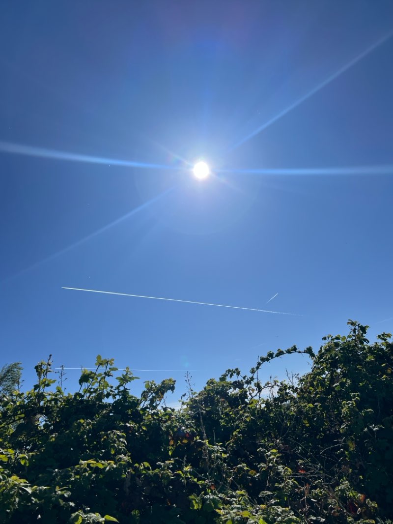 walking near me in Ingrebourne Hill in summer