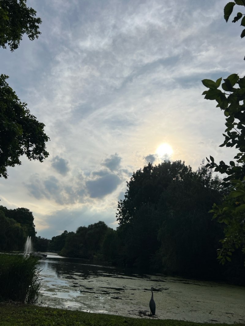 walking near me in St. James's Park in summer
