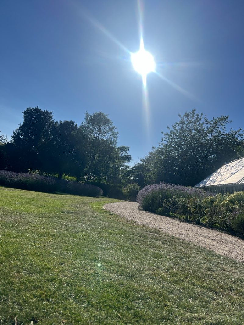 walking near me in Queen's Green in summer