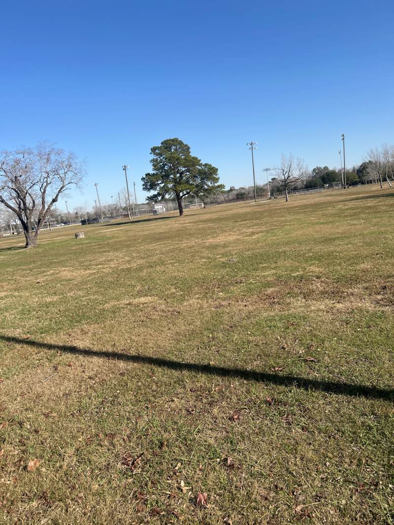 walking near me in Bear Creek Pioneers Park in winter
