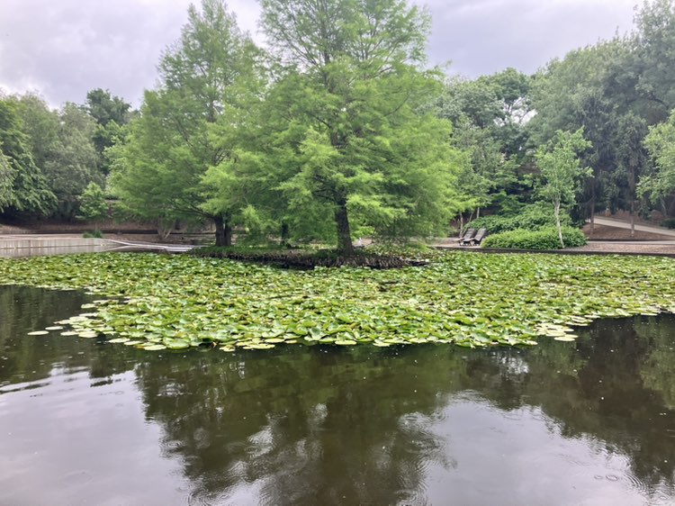 walking near me in Wilson Botanic Park in spring
