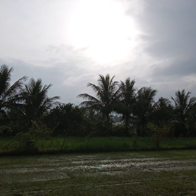 Taman Sri Bayu, 16200 Tumpat Taman Sri Bayu, 16200 Tumpat post image