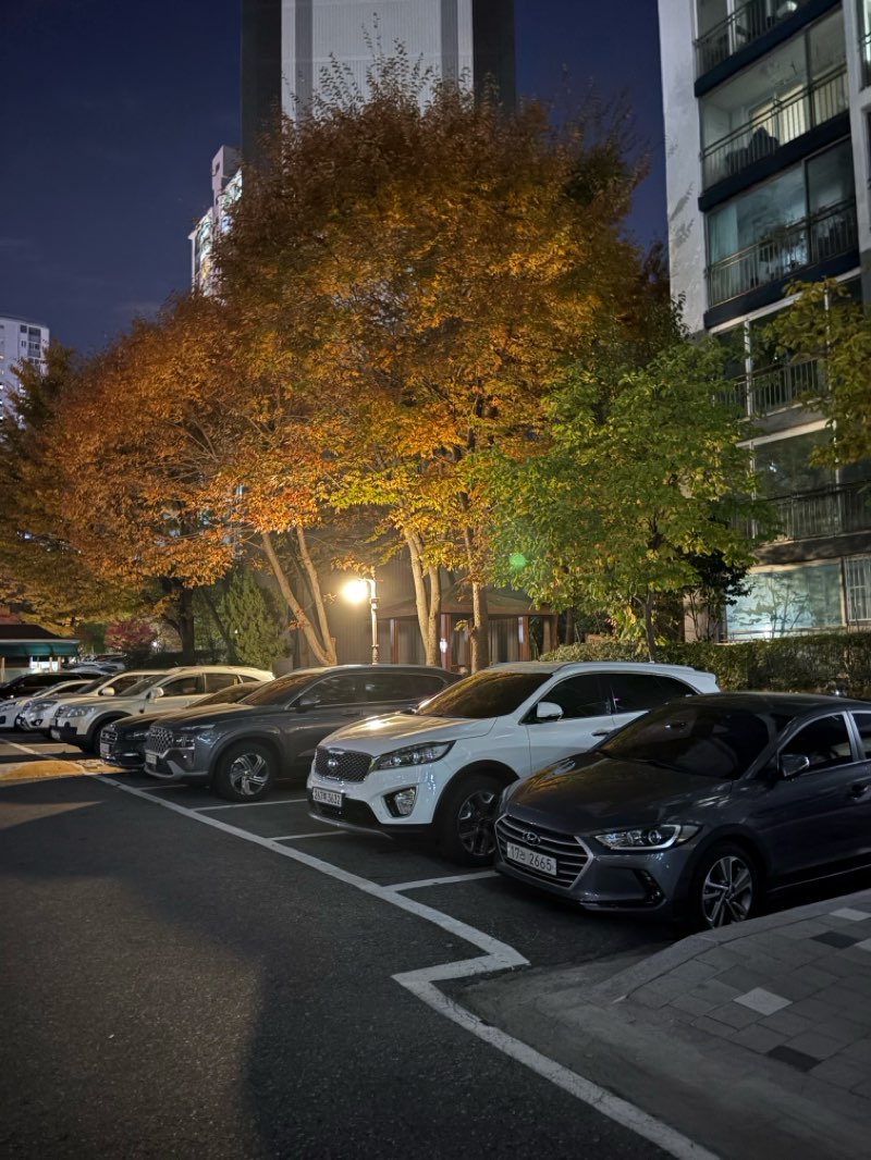 walking near me in Neungan Park in autumn