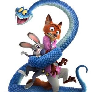 Agata Sznajder profile