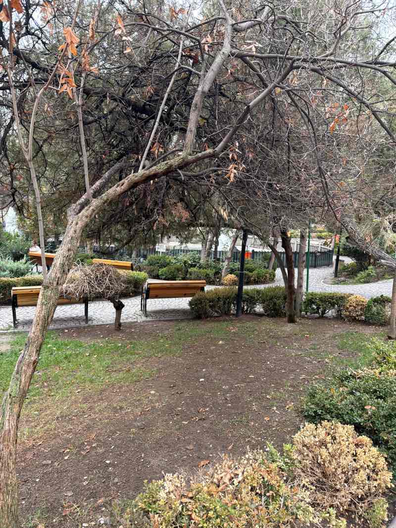 walking near me in Kuğulu Park in winter