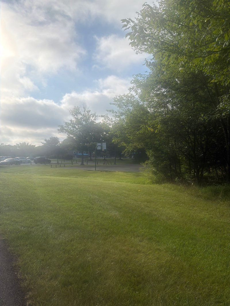 walking near me in Dairy Lou Park in summer