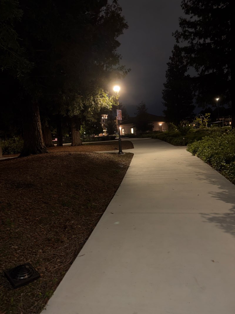 walking near me in Muwékma Park in autumn