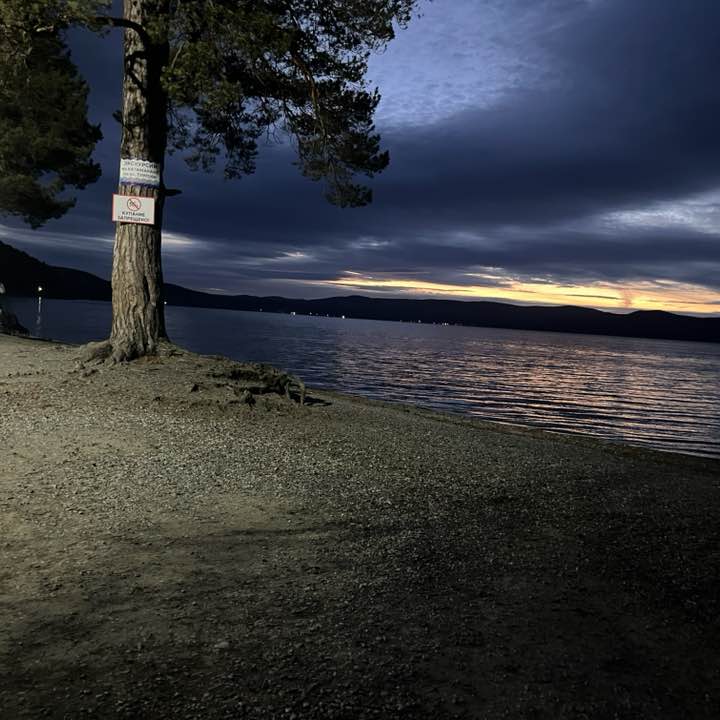 Нормальные шагают Елена post image