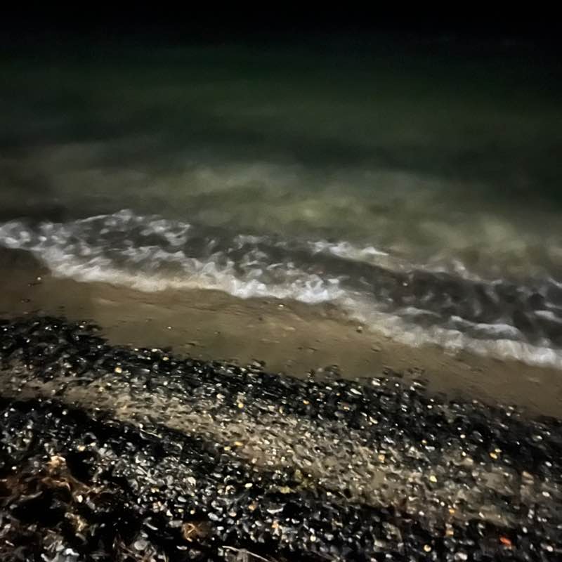 Нормальные шагают Елена post image