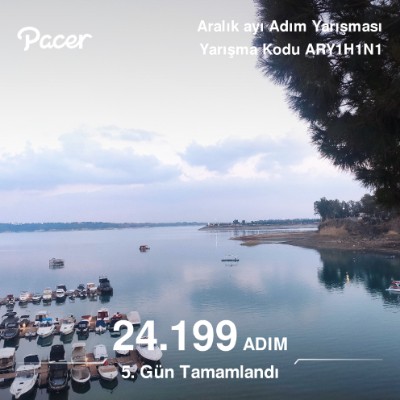 June Steps Challenge Vive post image