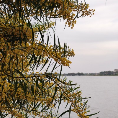 Walking Beyond 10K+ Together 🚶 Vive post image