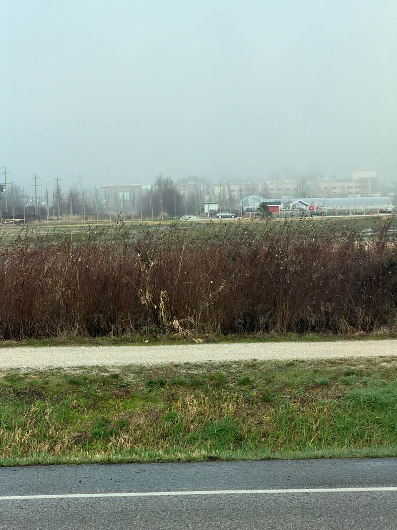 walking near me in Garden City Lands in winter
