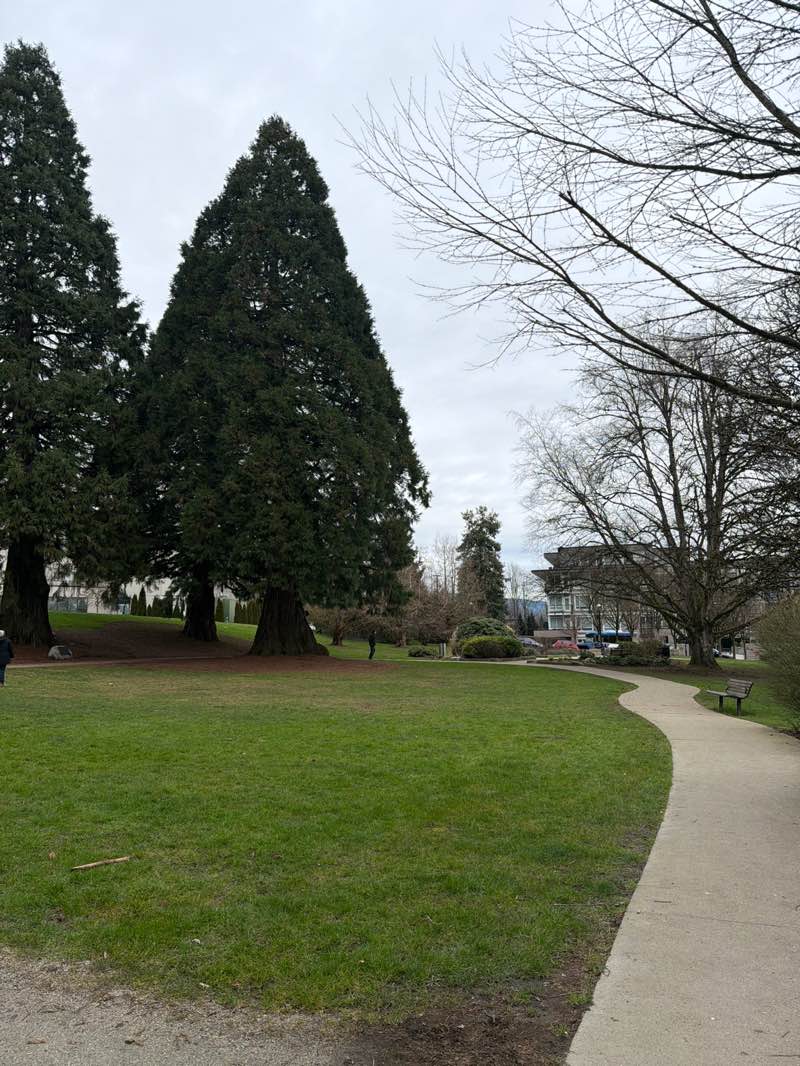 walking near me in Woodlands Memorial Garden in winter