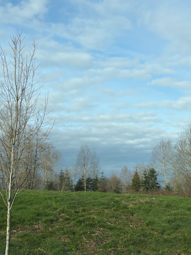 walking near me in Elgin Heritage Park in winter