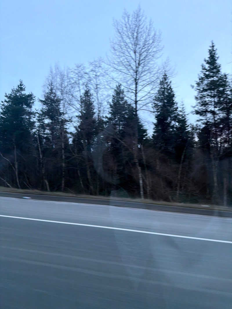 walking near me in Richmond Nature Park in winter