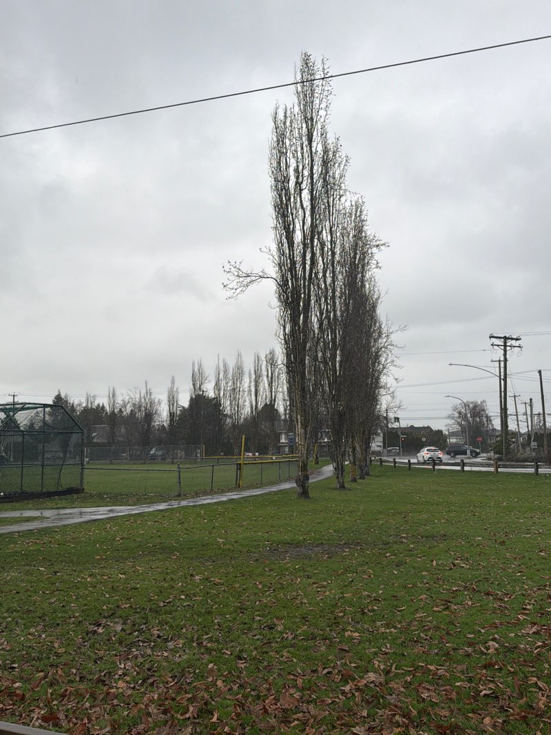 walking near me in Gibbons VLA Park in winter