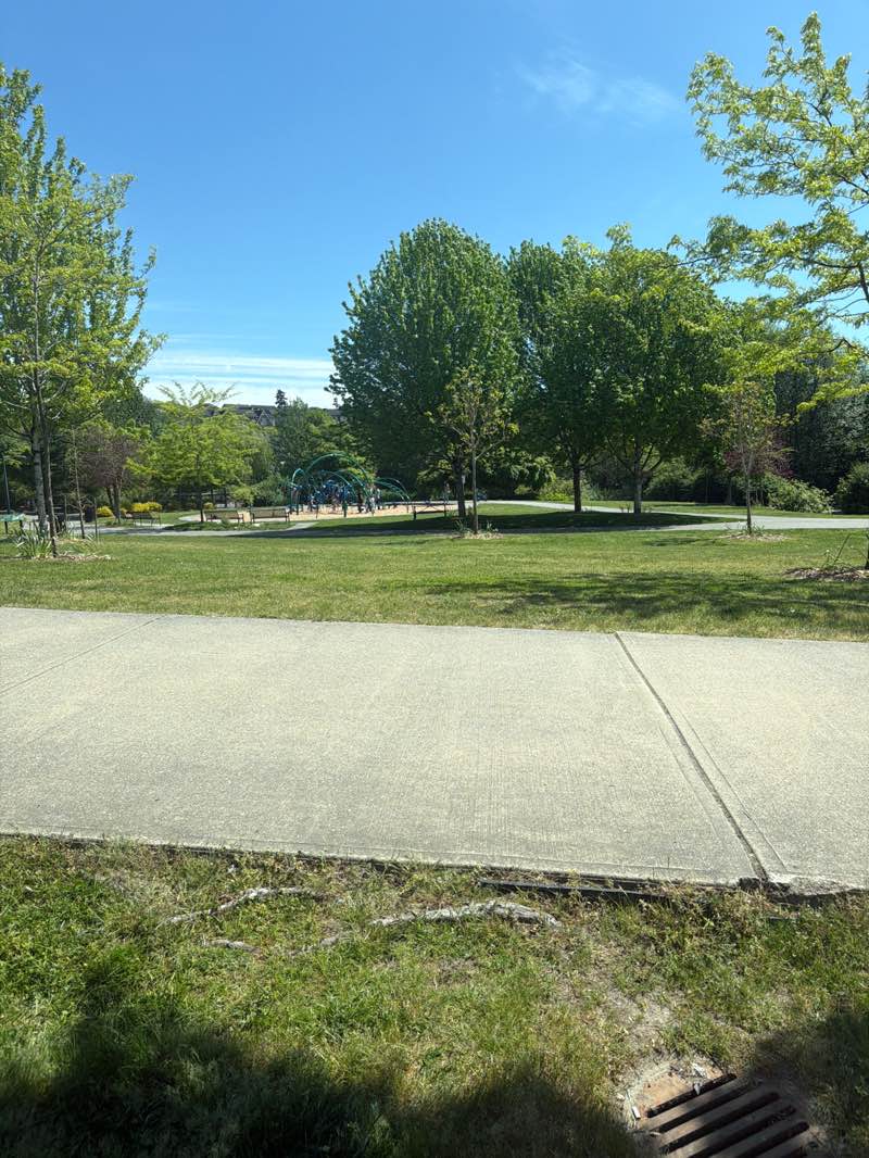 walking near me in Sunstone Park in spring