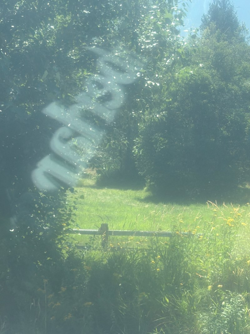 walking near me in Arn Canal Linear Park in summer
