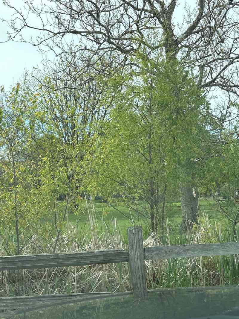 walking near me in Winona Lake Limitless Park and Splash Pad in spring