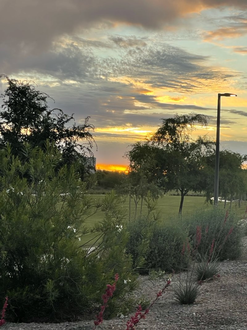 walking near me in Paseo Vista Recreation Area in spring