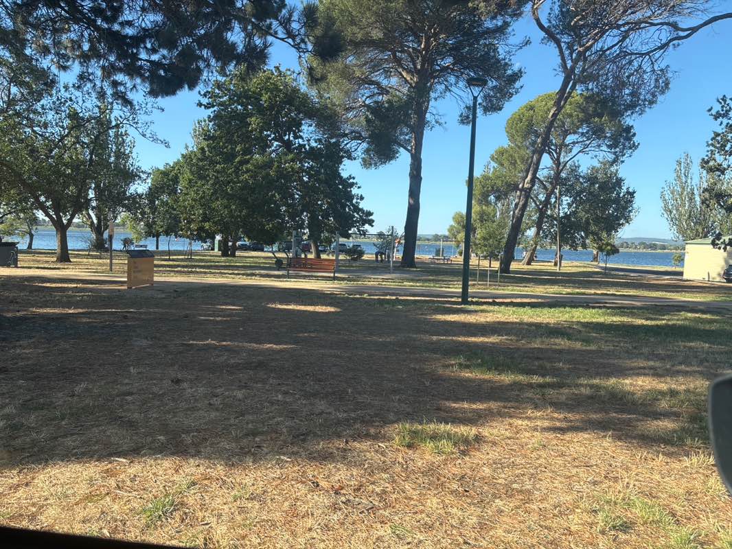 walking near me in Lake Wendouree Gardens in summer