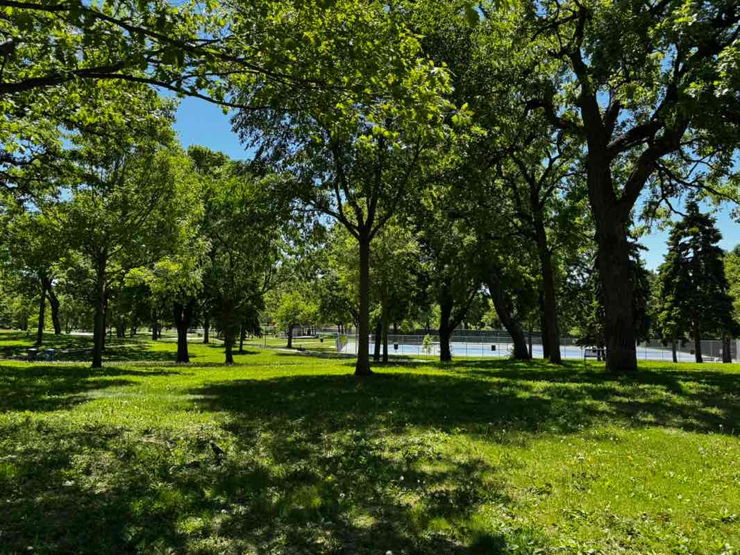 walking near me in Loring Park in summer