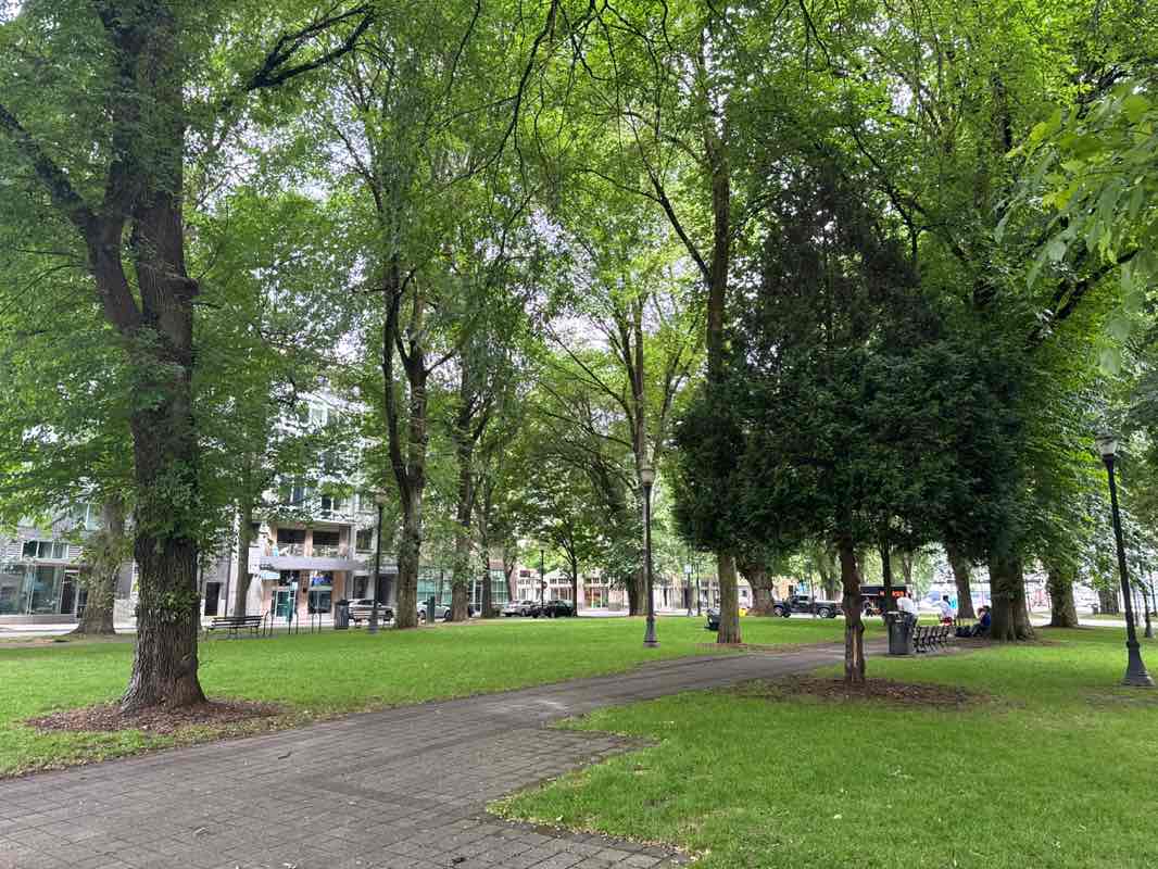 walking near me in North Park Blocks in summer
