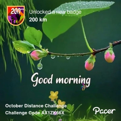 July Distance Challenge Dreamer* post image