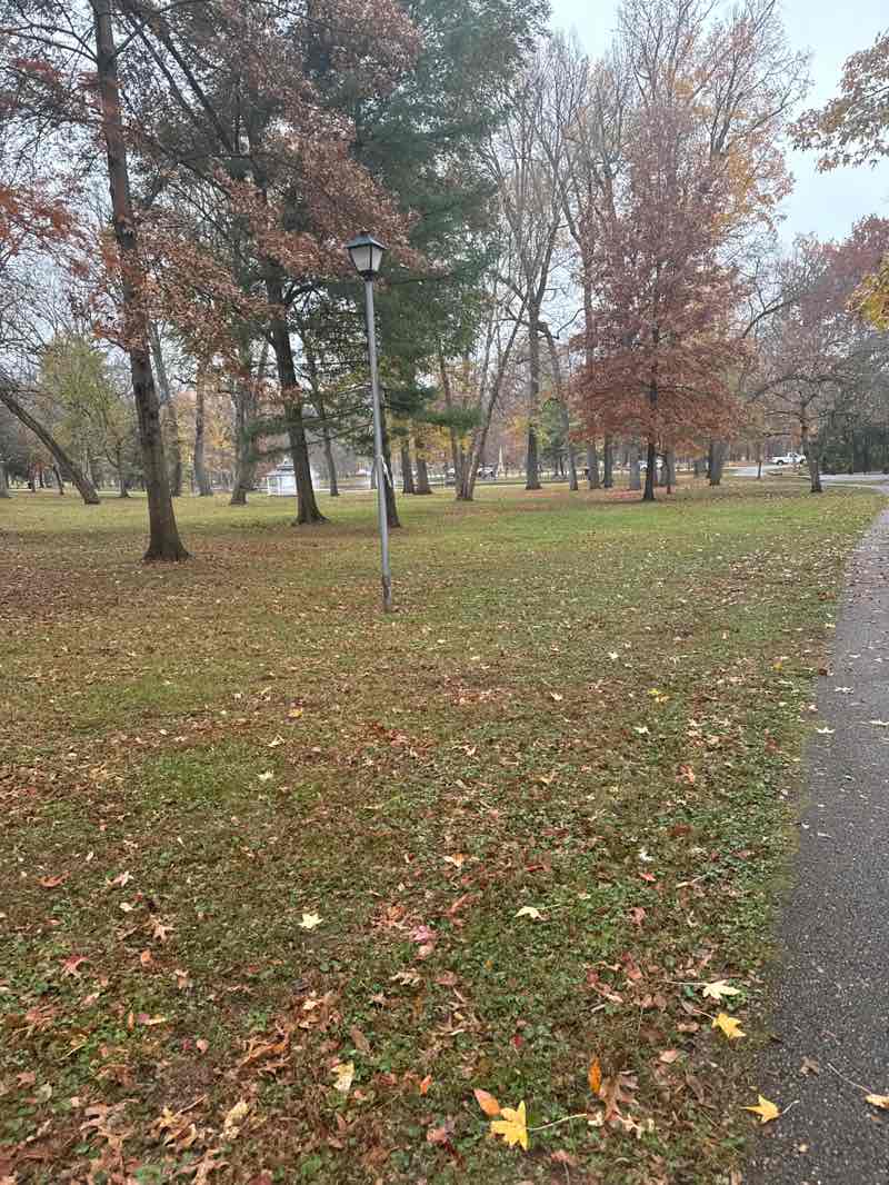 walking near me in Central Park in autumn