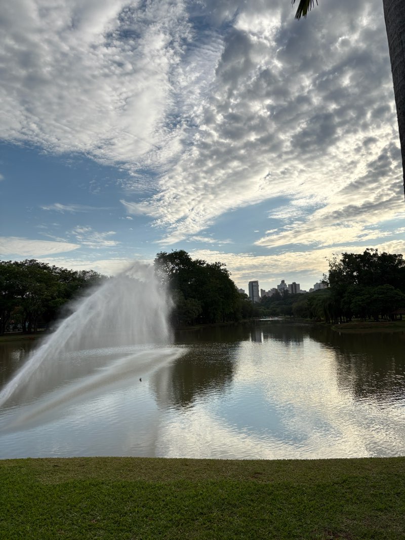 walking near me in Parque da Rua do Porto "João Hermann Neto" in spring