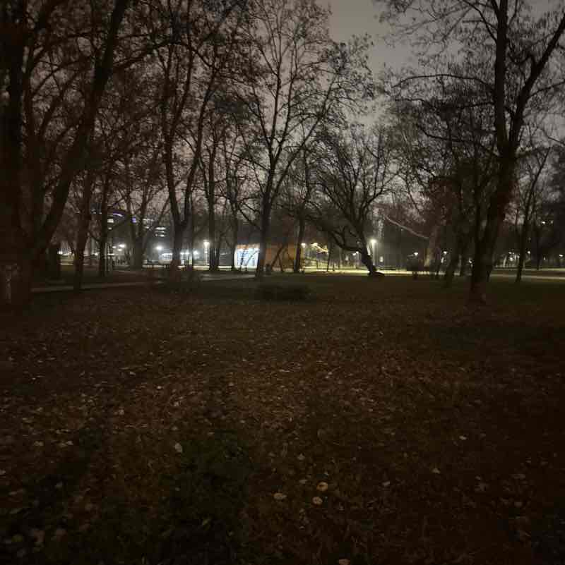 BUD - Susan, SLATER post 1