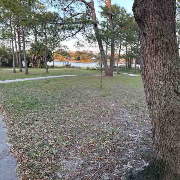 Andrea 🇵🇷 post 1