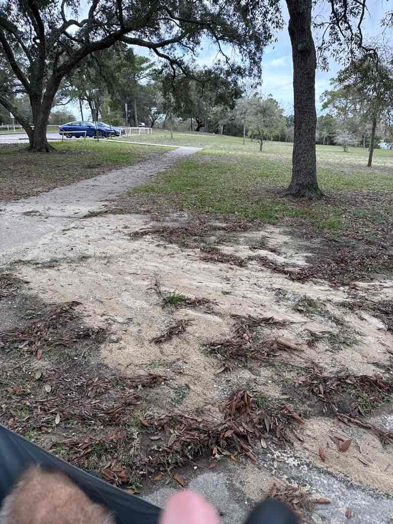 walking near me in Navy Point Park in spring