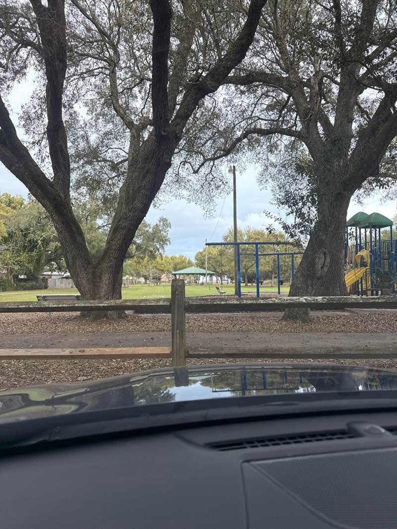 walking near me in Corry Park in spring