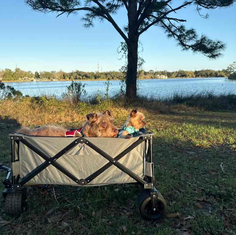 Andrea 🇵🇷 post 1