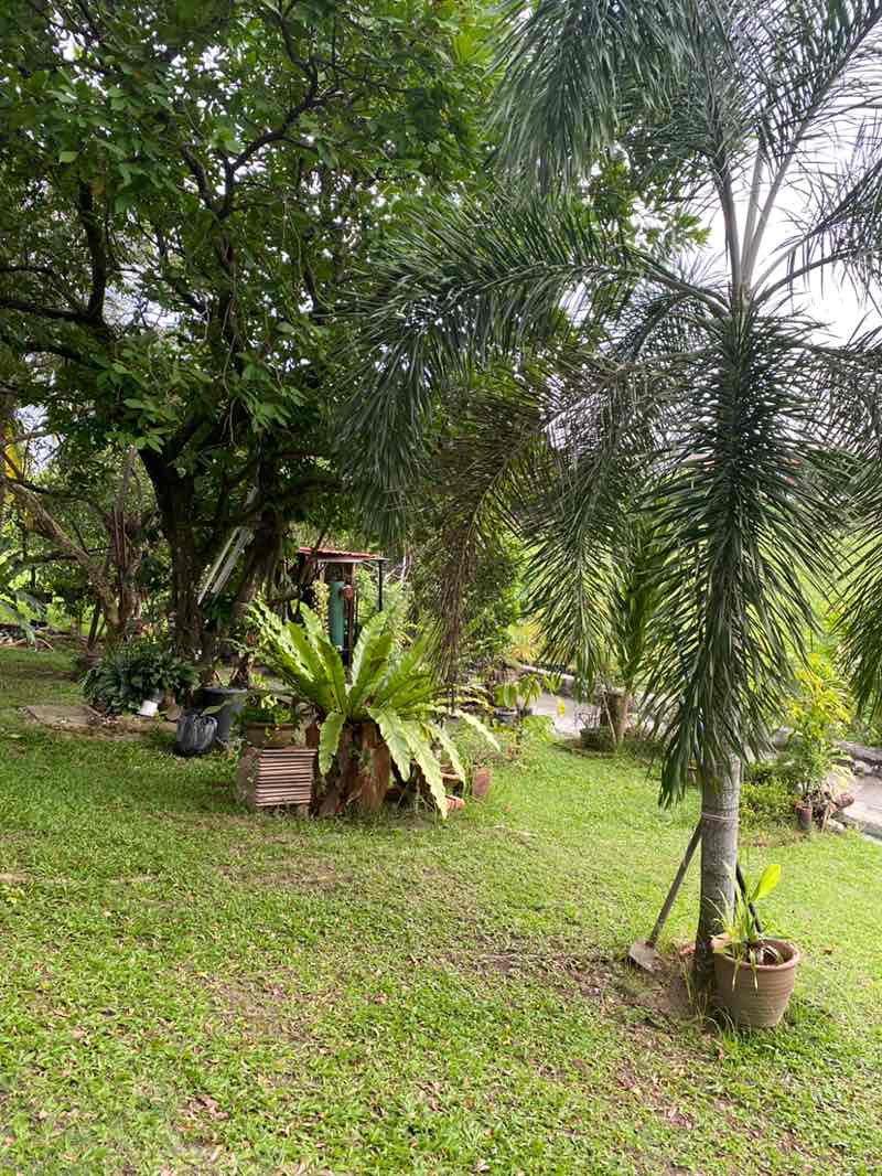 walking near me in Padang Bola in winter