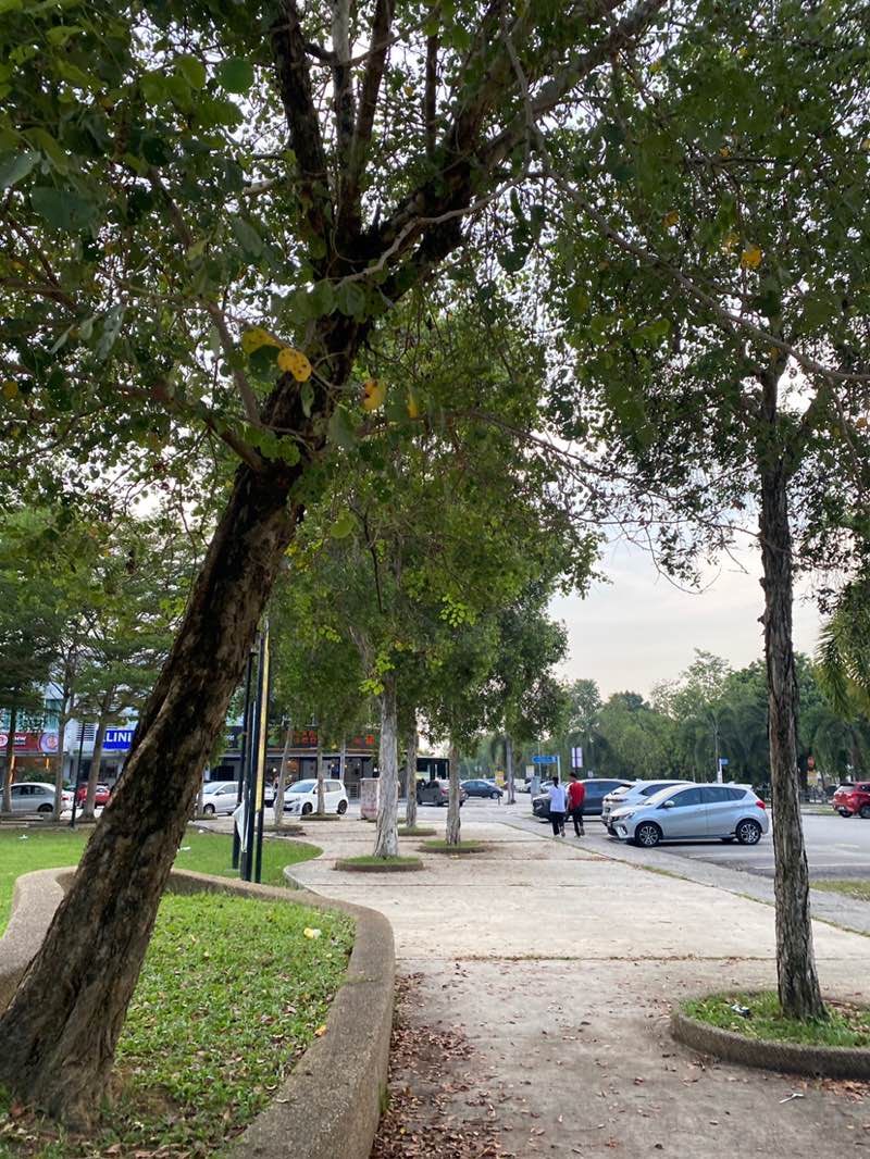 walking near me in Dinosaur Teeth in winter