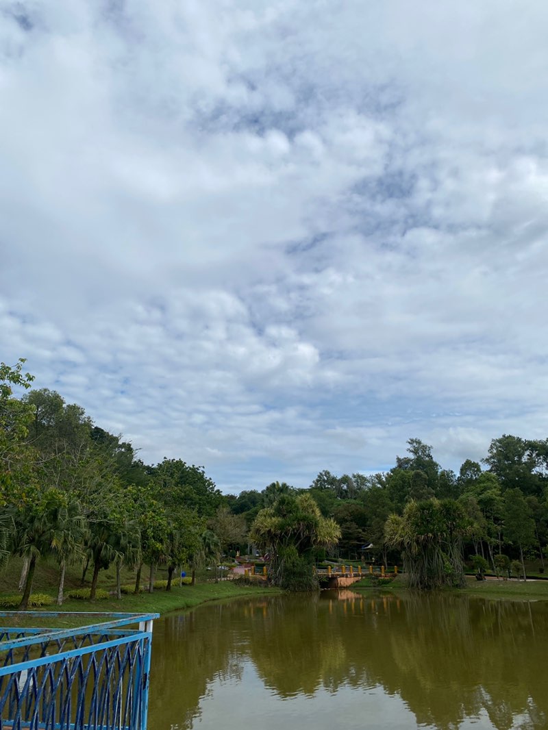 walking near me in Taman Rimba Riang Kota Damansara in winter