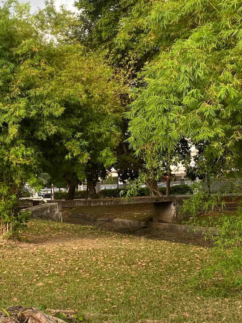 walking near me in Taman 100 in winter