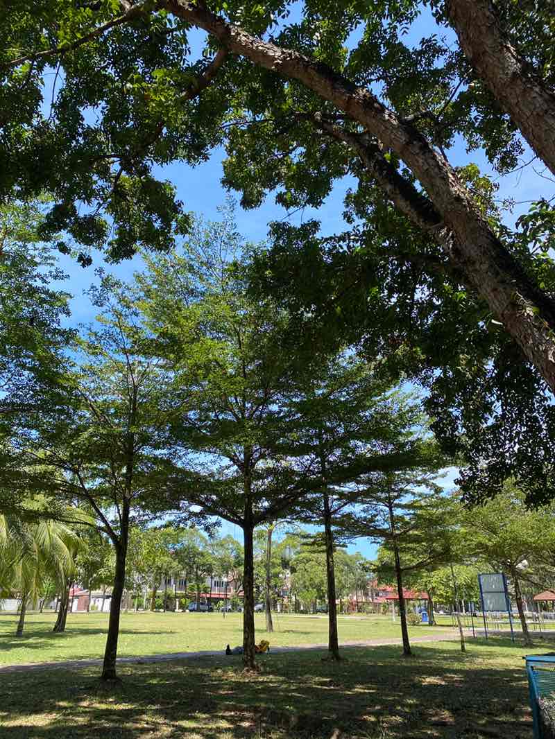 walking near me in USJ16 Park in winter