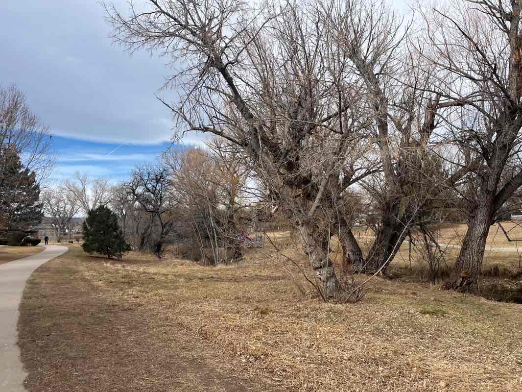 walking near me in Ralston Cove Park in winter