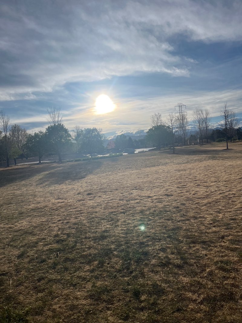 walking near me in Skyline Park in spring