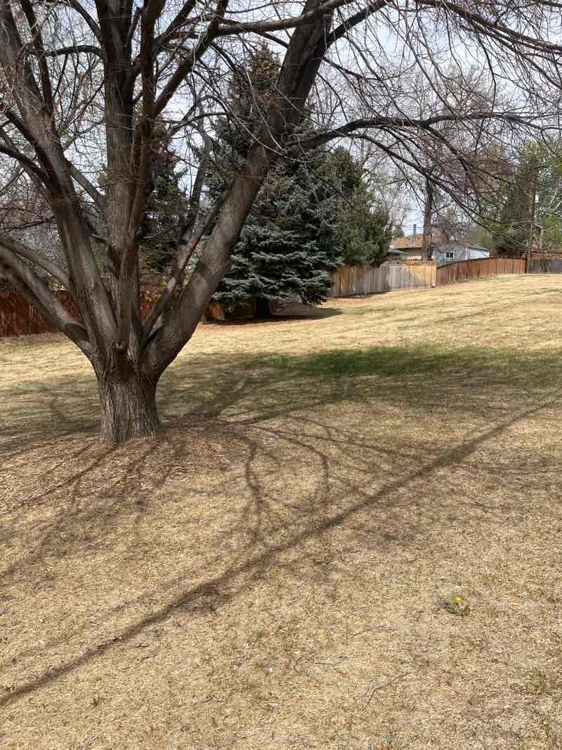 walking near me in Wadsworth Park in spring