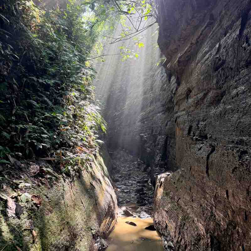 Phibro Step Challenge !! Mohammad Shah post image